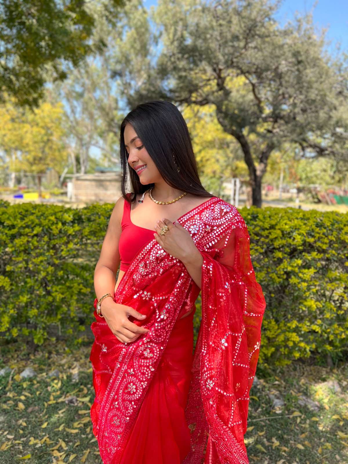 Naina Organza Banglori satin silk saree collection manufacturer surat 