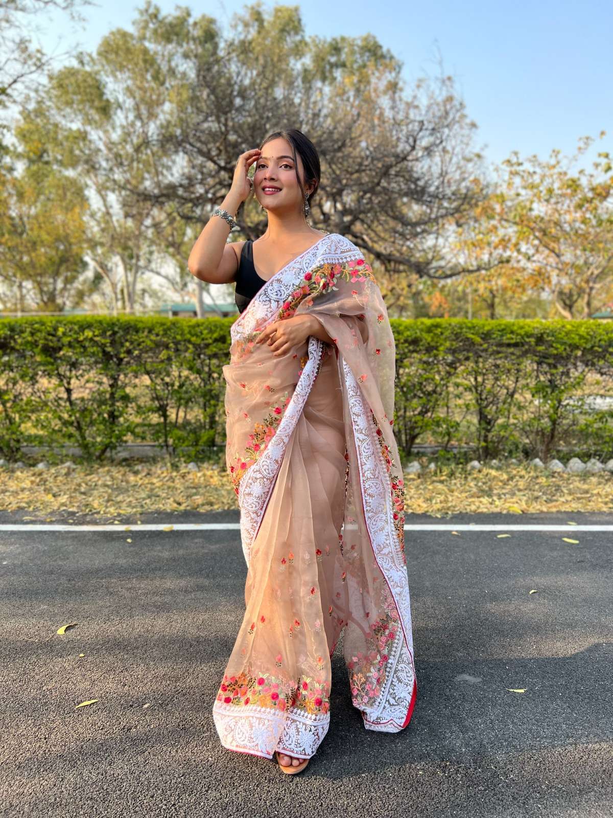 RIDDHI SIDDHI VOL 2 Organza Bangalori saree collection manufacturer surat 