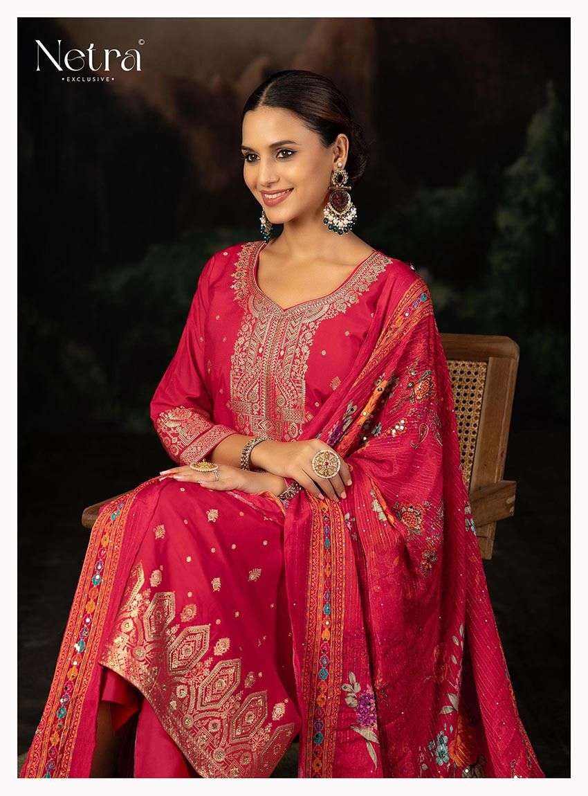 SEJAL by NETRA suit collection manufacturers surat 
