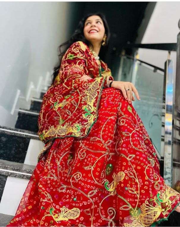 Aari Tari Bandhej Saree