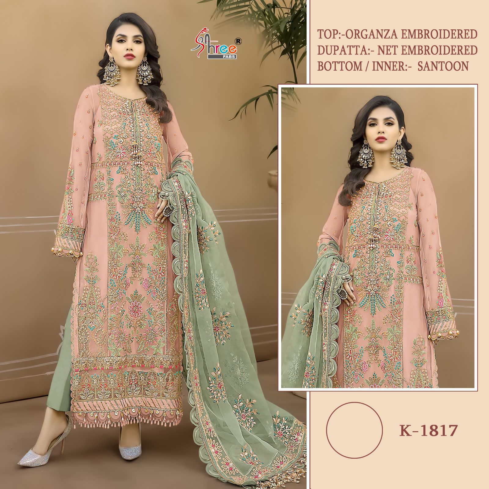 Shree Fabs K 1817 Organza Pakistani Dress
