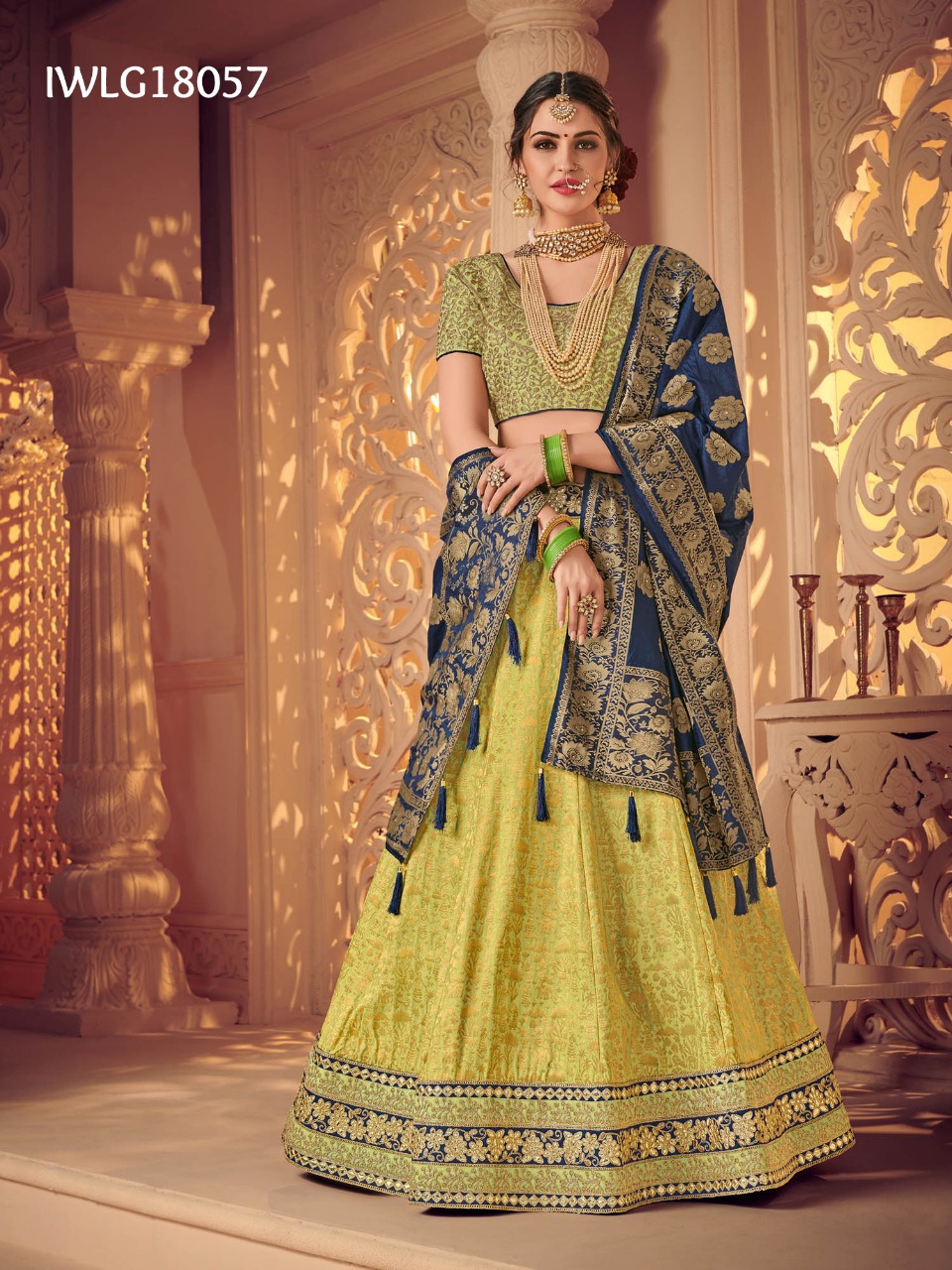 Dulhan 18054 Series Fancy Designer Bridal Lehenga Choli Collection Wholesaler Surat