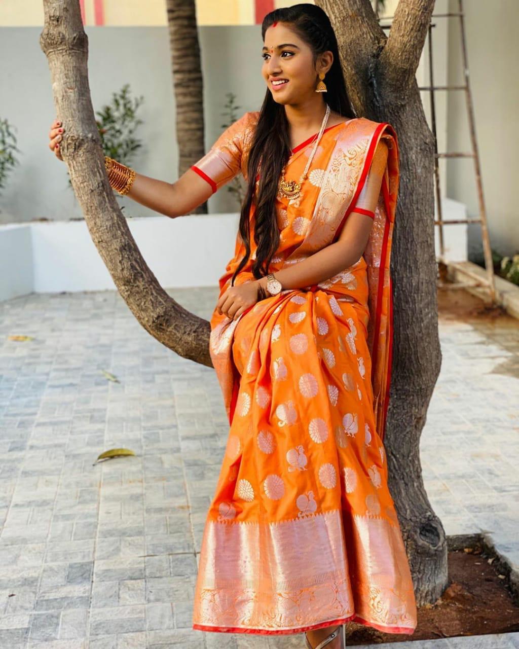 Kanchipuram Handloom Weaving Silk Saree Dealer From India