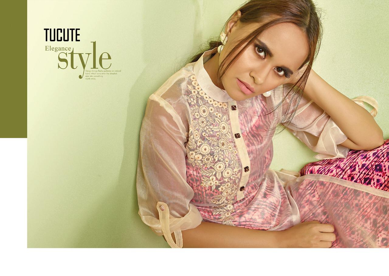 Tucute Series 17001 To 17008  Organza Embroidered Designer Top With Gown Catlog Wholesale Supplier N...