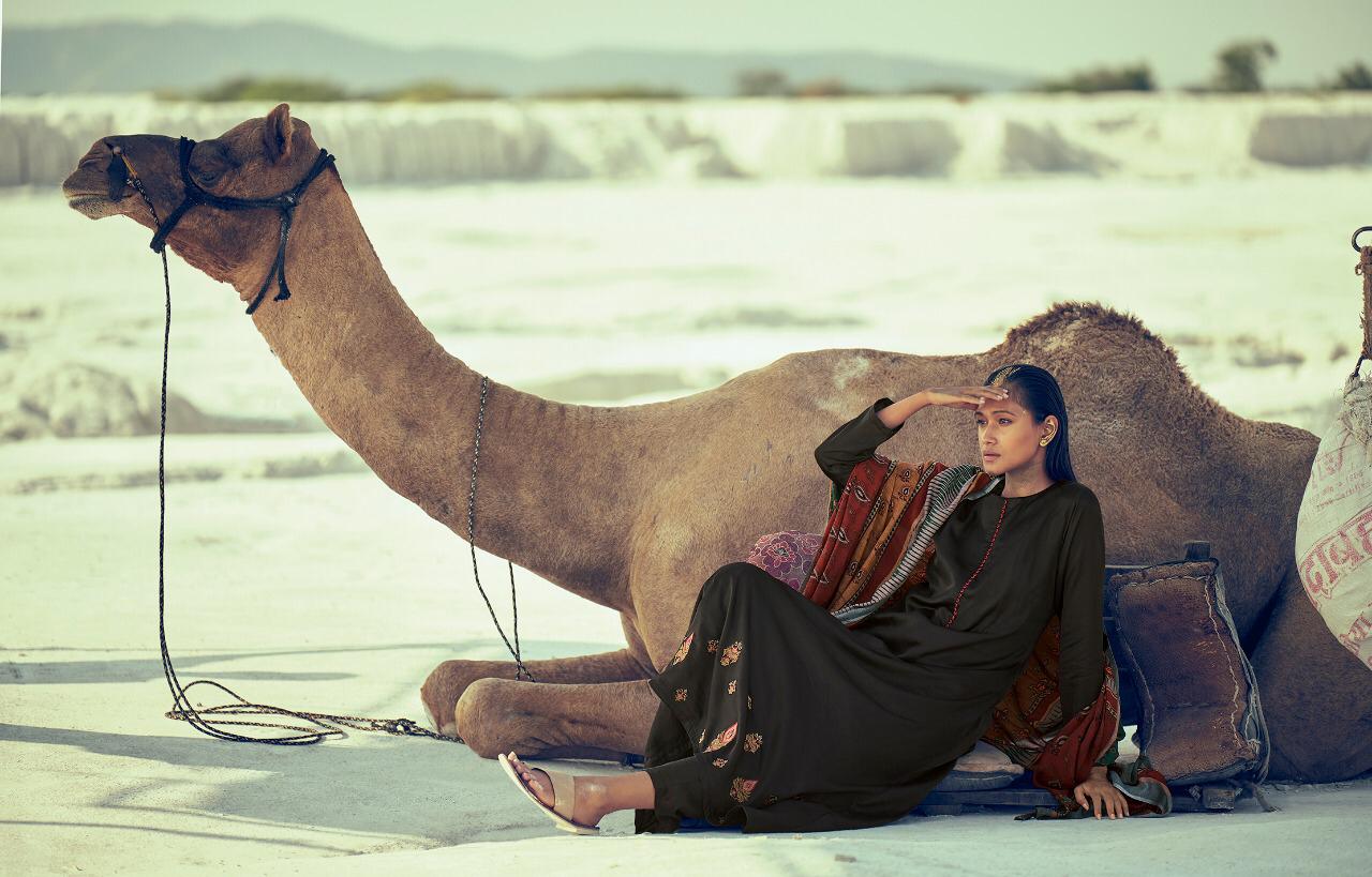 Varsha Mehr Pashmina Suits Wholesale Supplier Nd Dealer Gujarat