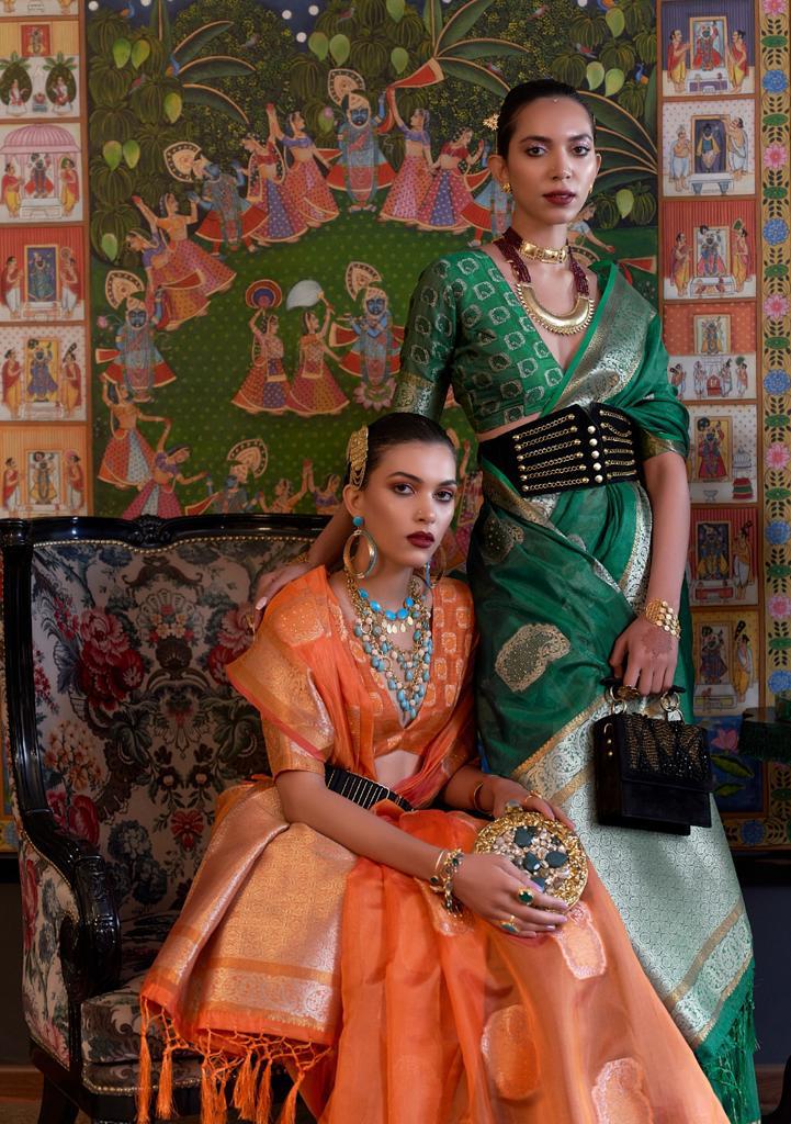 Kabinni Organza Series 315001 To 315006 By Rajtex