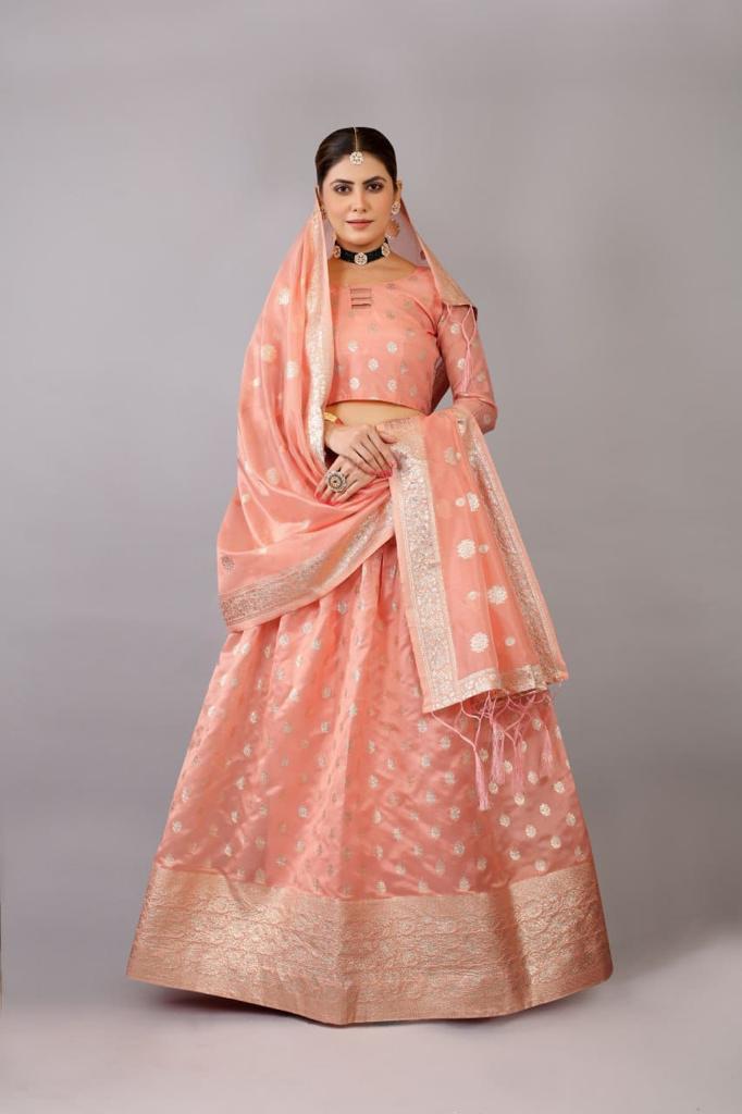 Noor Vol 1 Organza Banarasi Lehenga Choli Collection